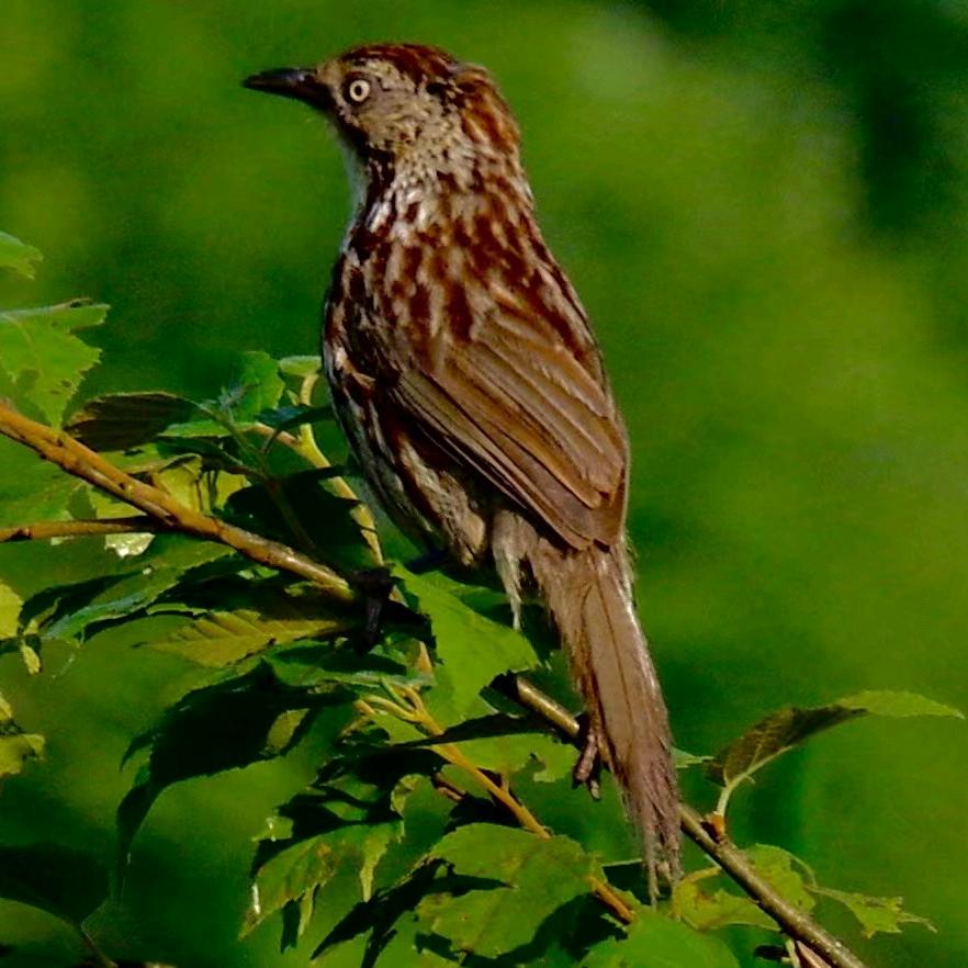 重百电器幸福美满