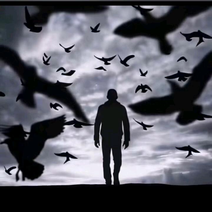 人生看淡🌵🇨🇳