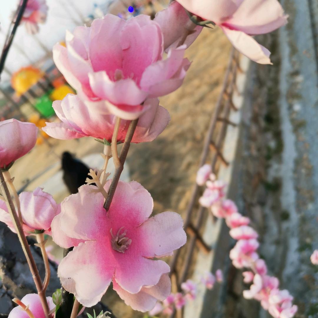 好人平安
