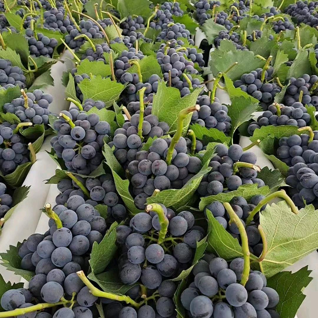 小刘妹儿四季果蔬产地代办