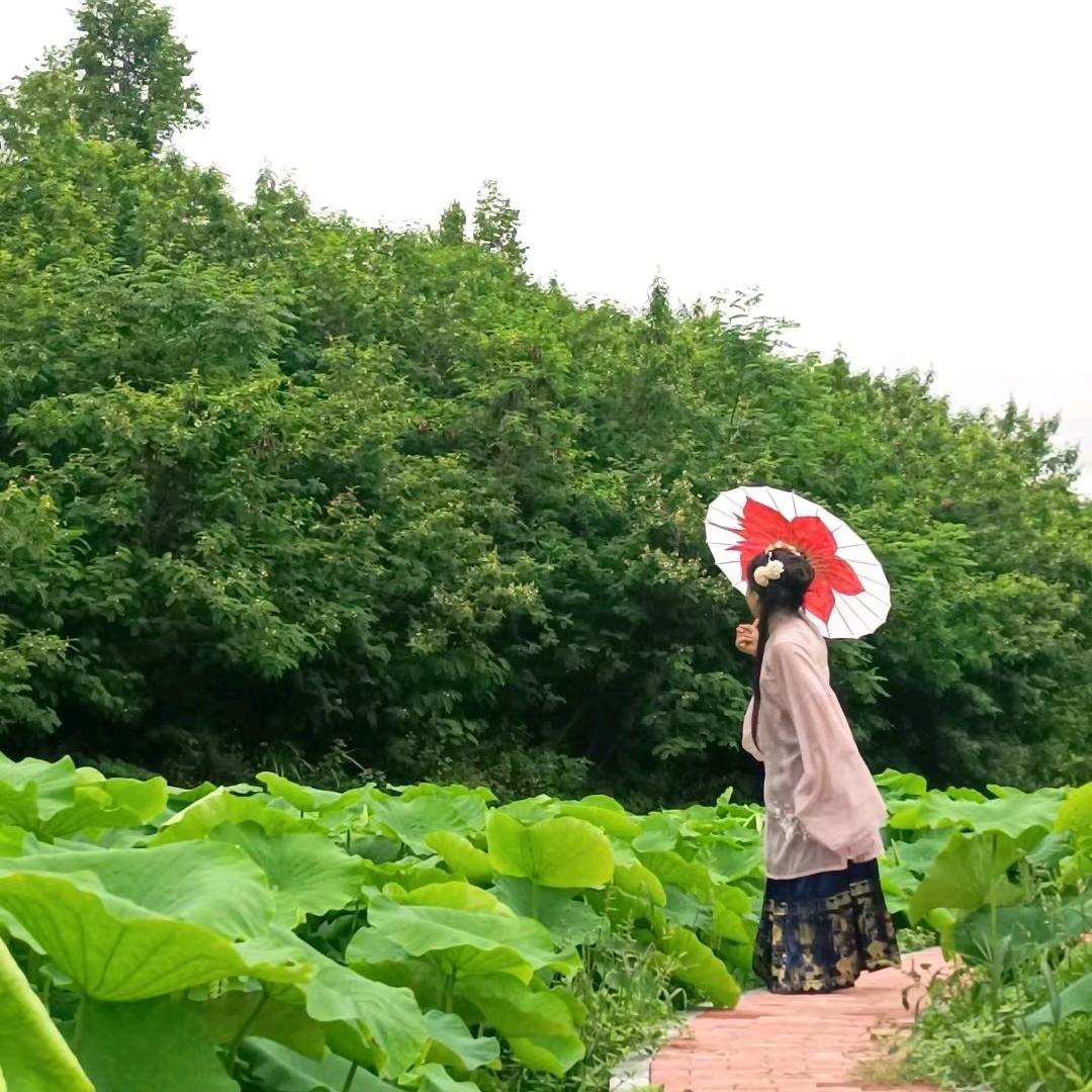 一糖吥湉了一