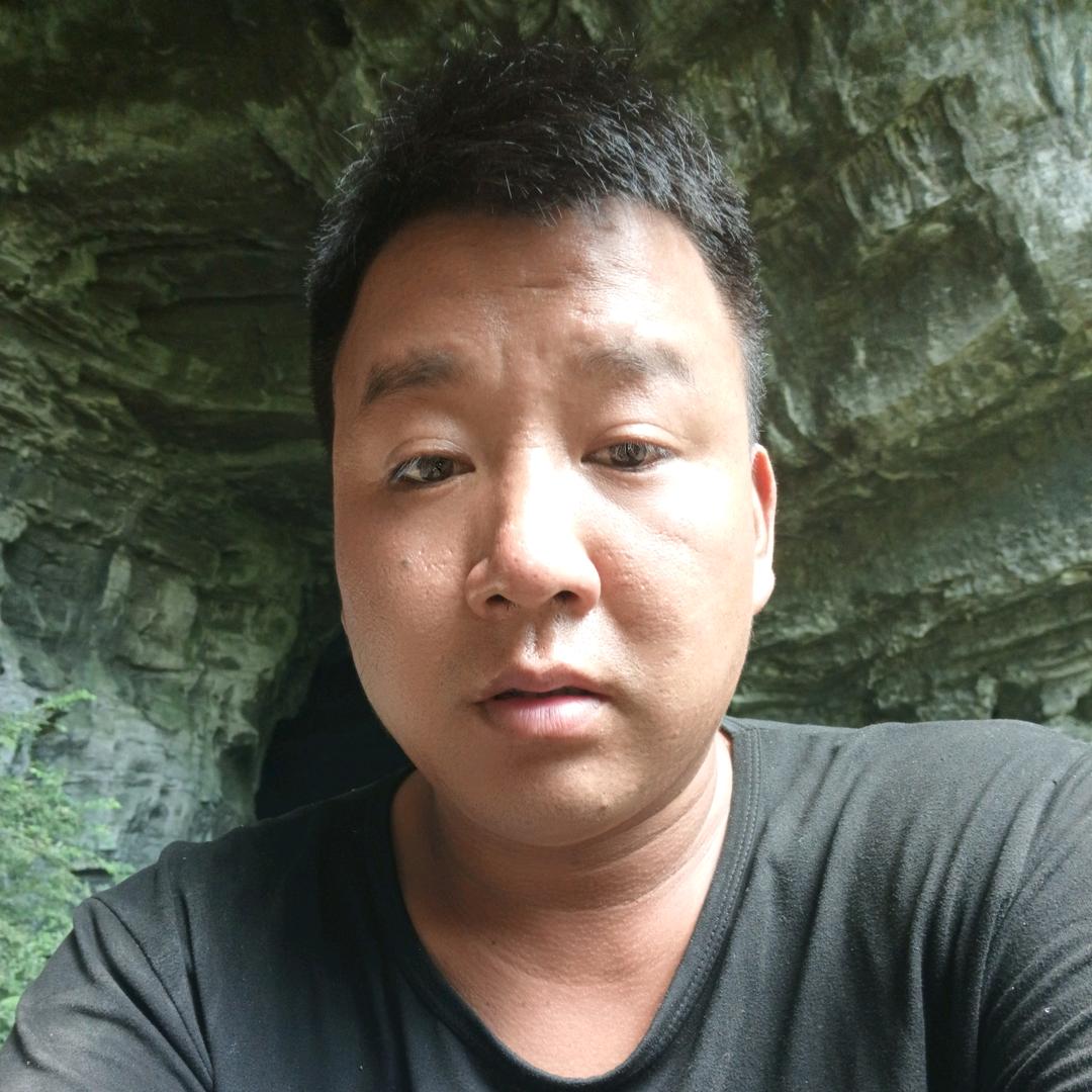 放羊的猫猫咪