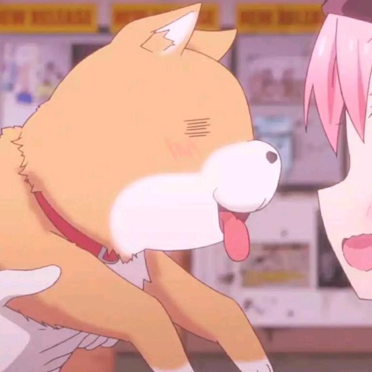 爱吃菠菜