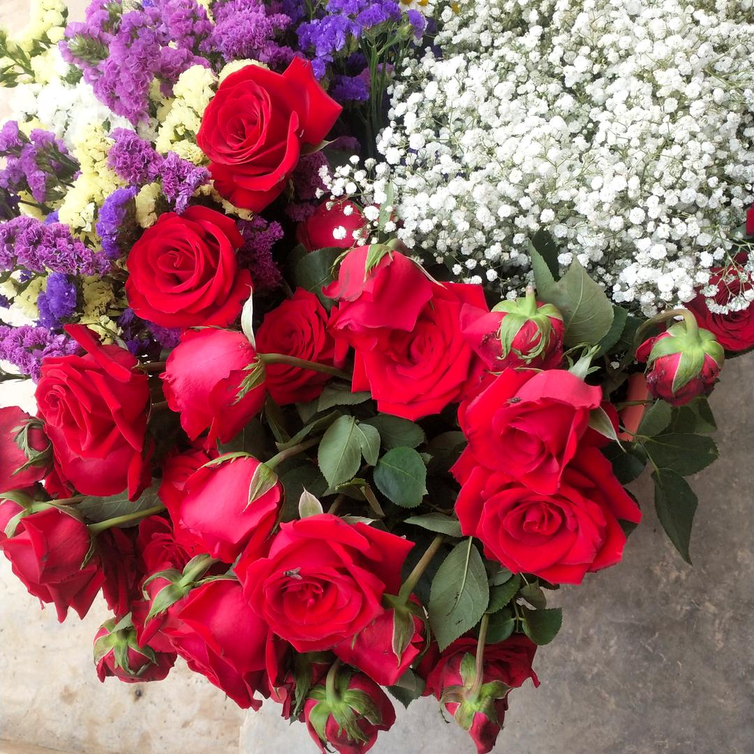 夜来香专业铲小沟围小边膜铲铲队。陆良海界