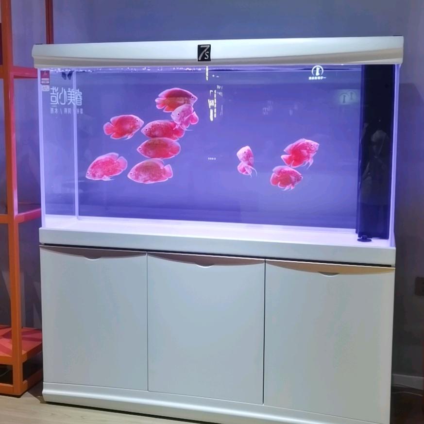 珍宝水族馆（睿美水族世界）