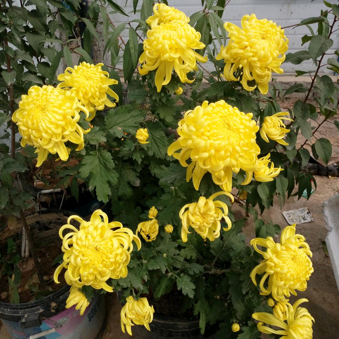 @幸福快乐