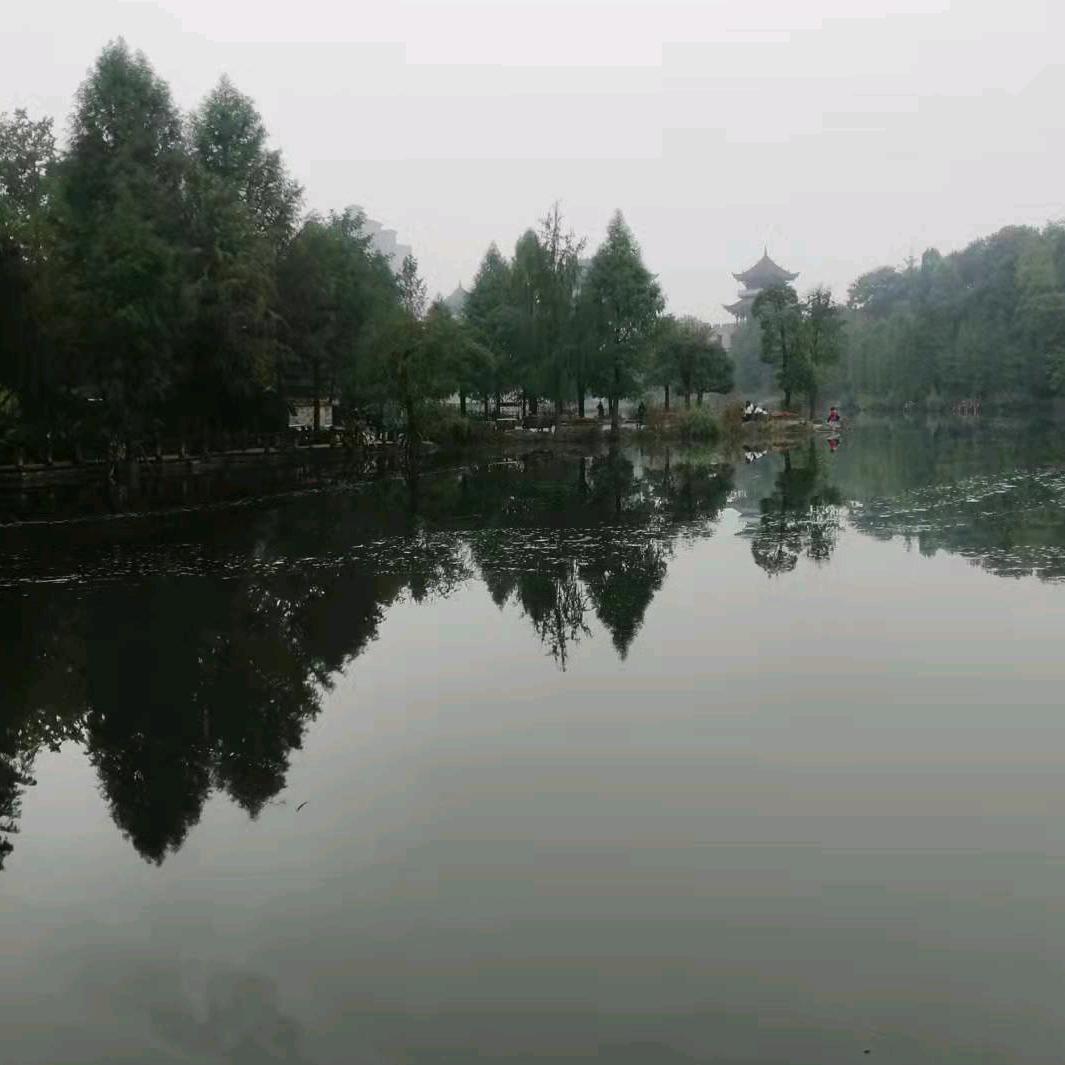 风雨归来