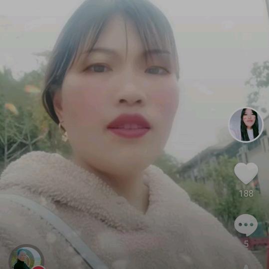琴琴有你