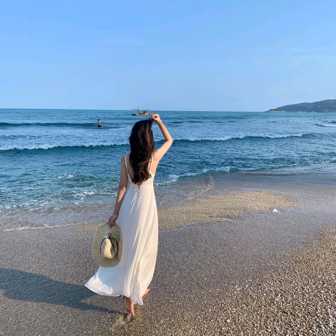🌻丽🌻