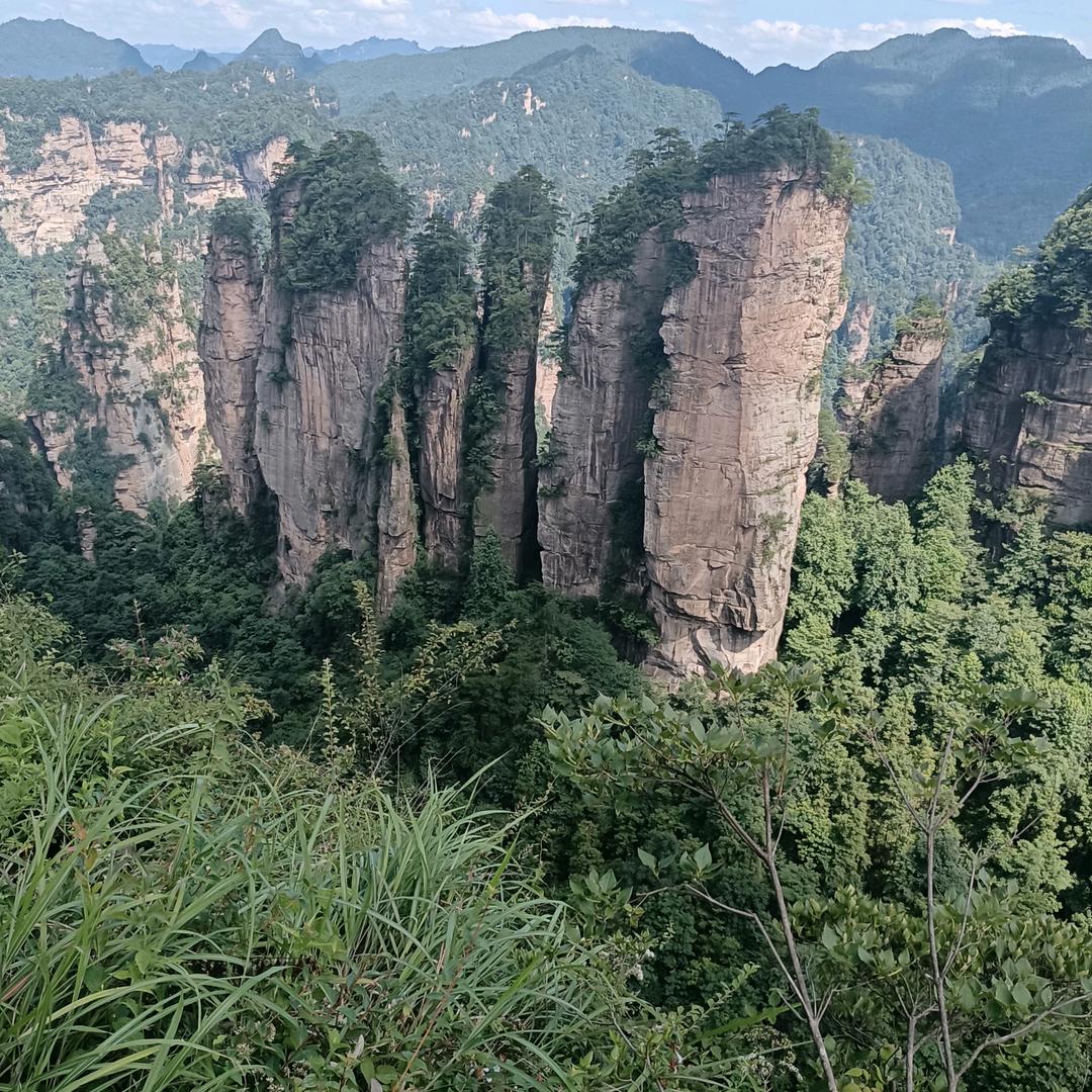 珍惜眼前