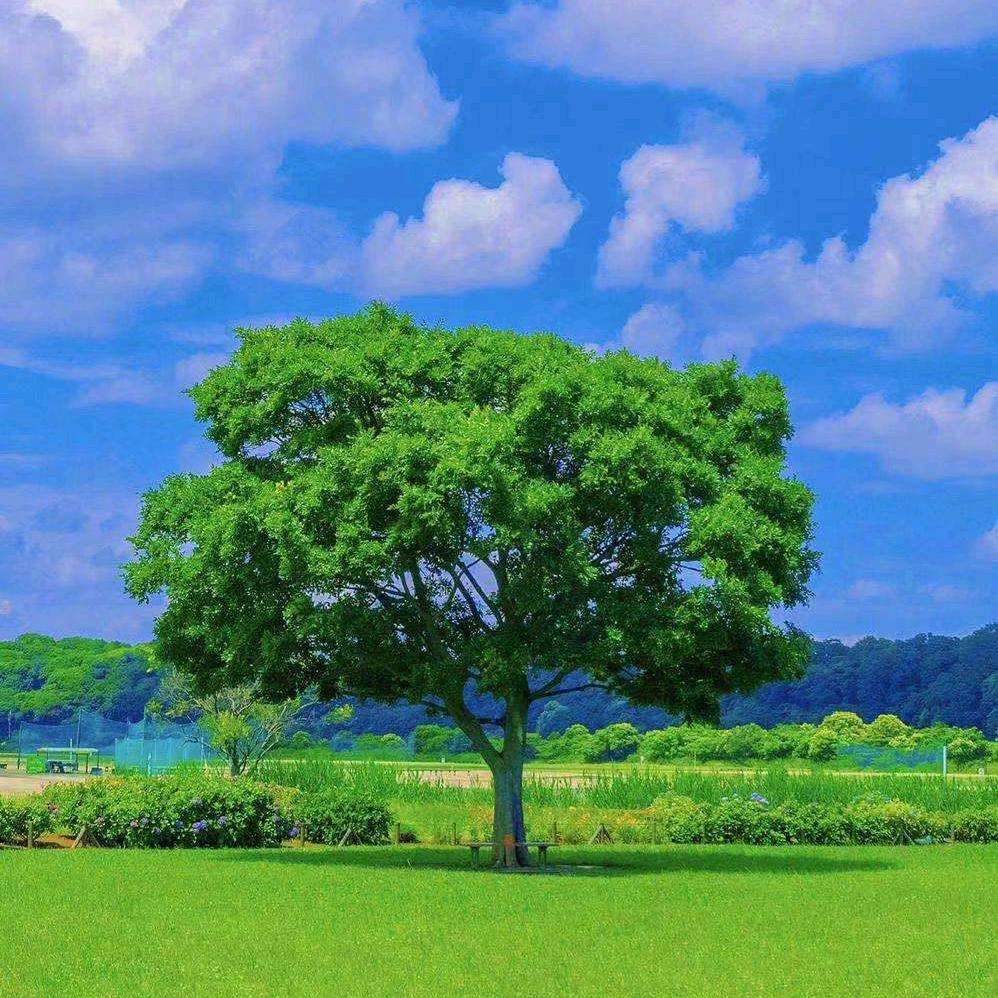 一一