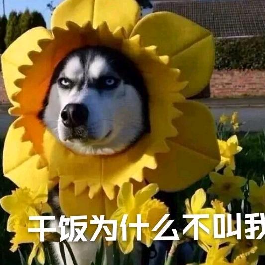 青山头像