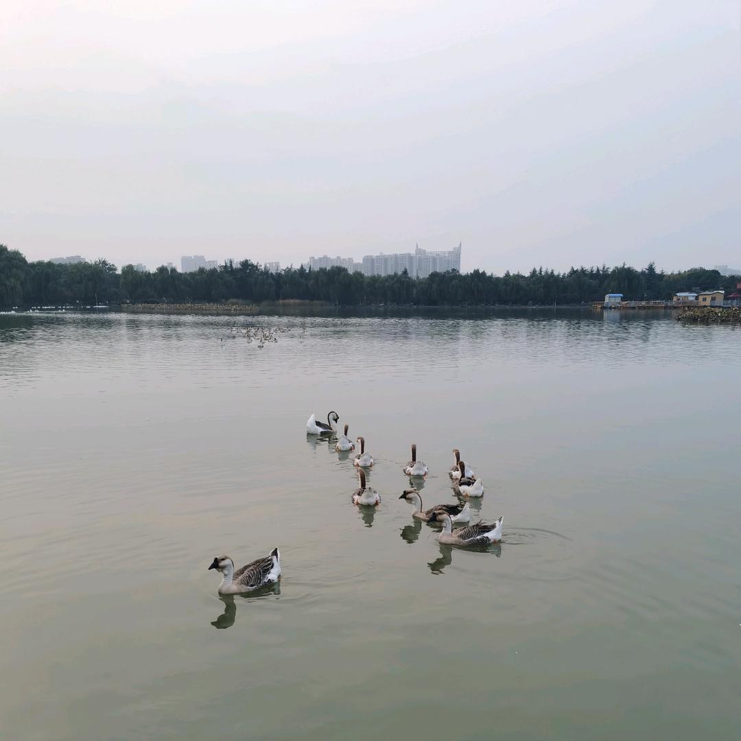 柒柒小公主