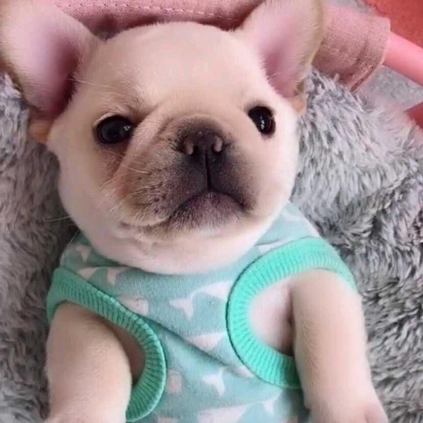 江津戍