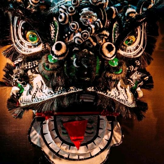 醒狮人