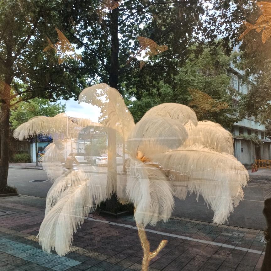 金佰利