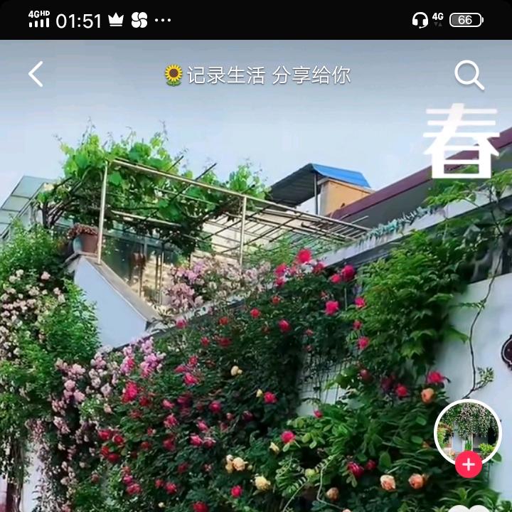 梅兰竹菊。