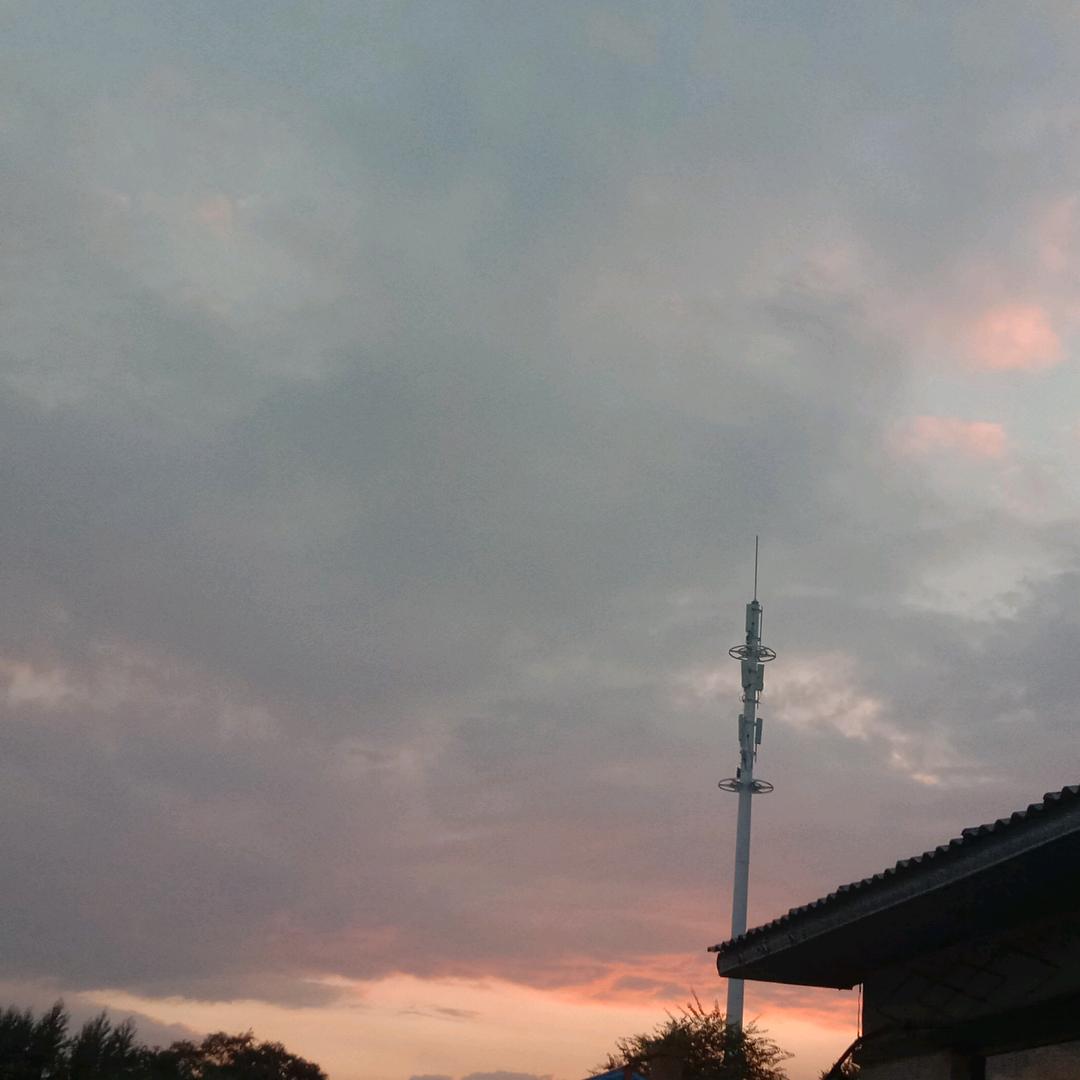 张术华
