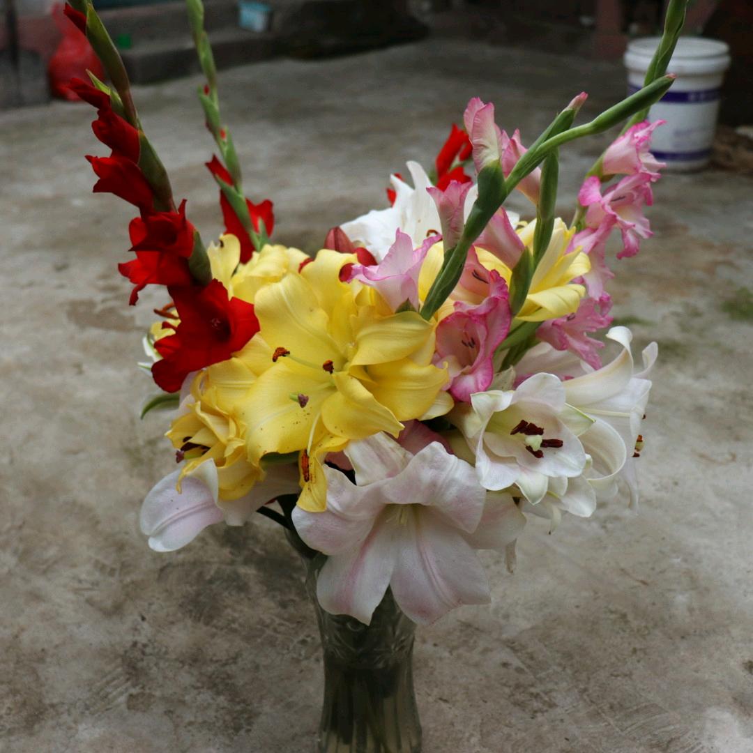 花哥