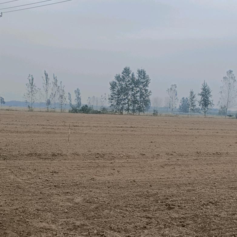 大量墙布批发零售