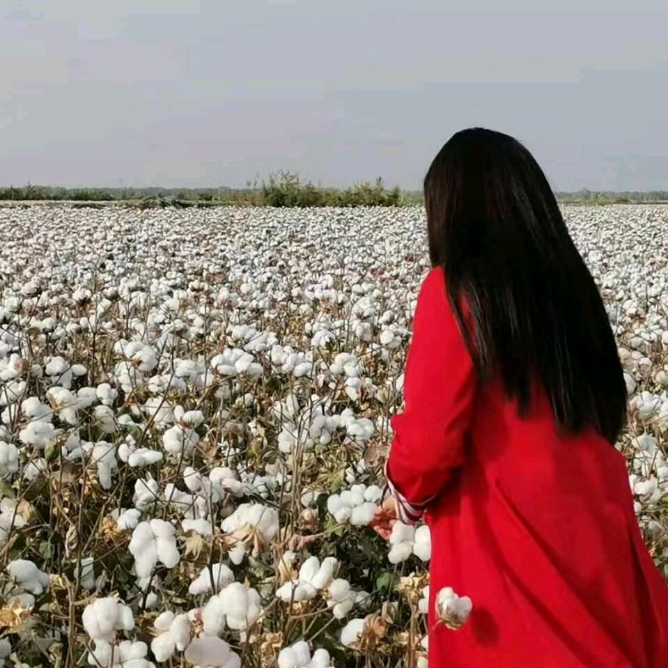 乒乓球场的快乐时光
