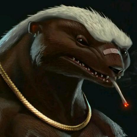 獾仔