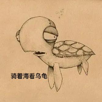 🌈骑着海看乌龟