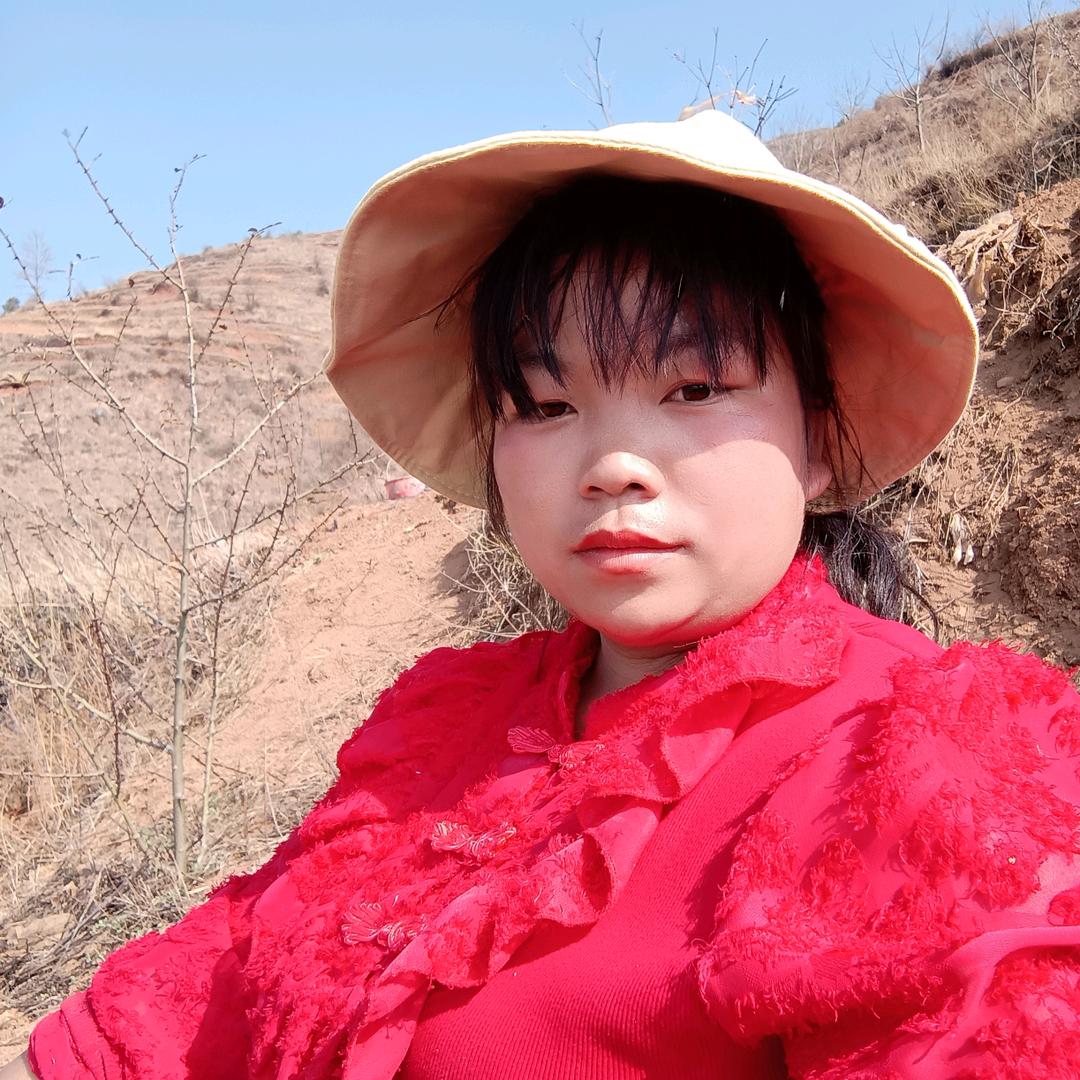 朱弦轻拨韵悠然