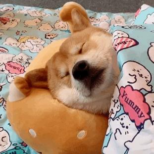 聆听好声音