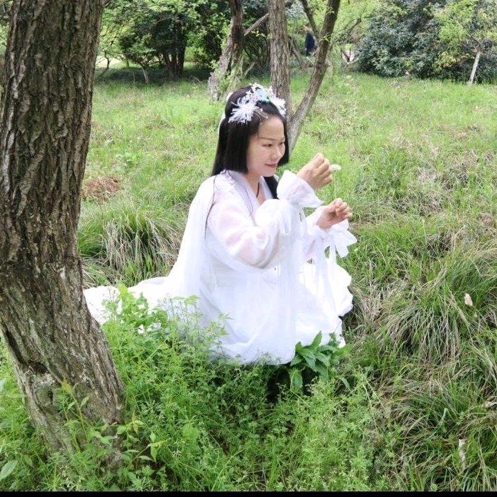 国声琴行之指尖筝乐