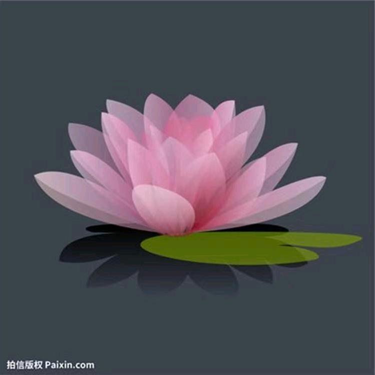 我是快乐农民哥