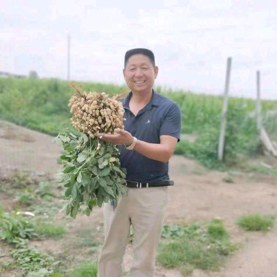 吴根启农业技术推广有限公司