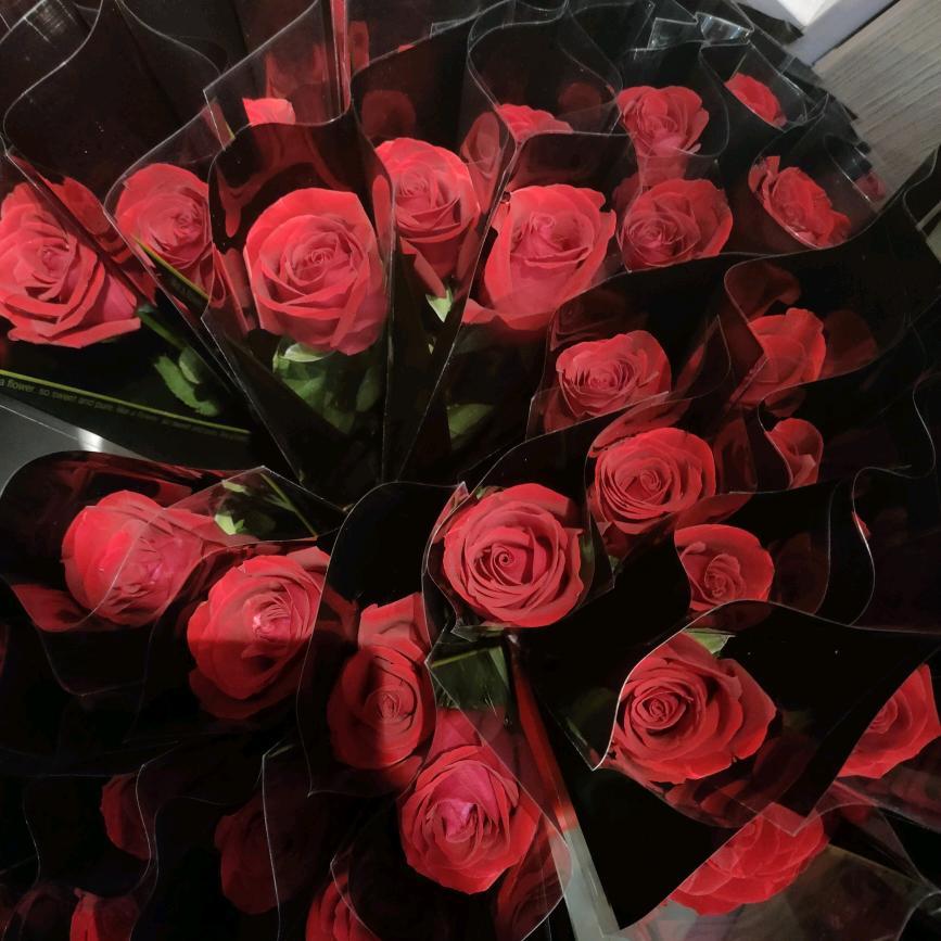 一朵带刺的玫瑰