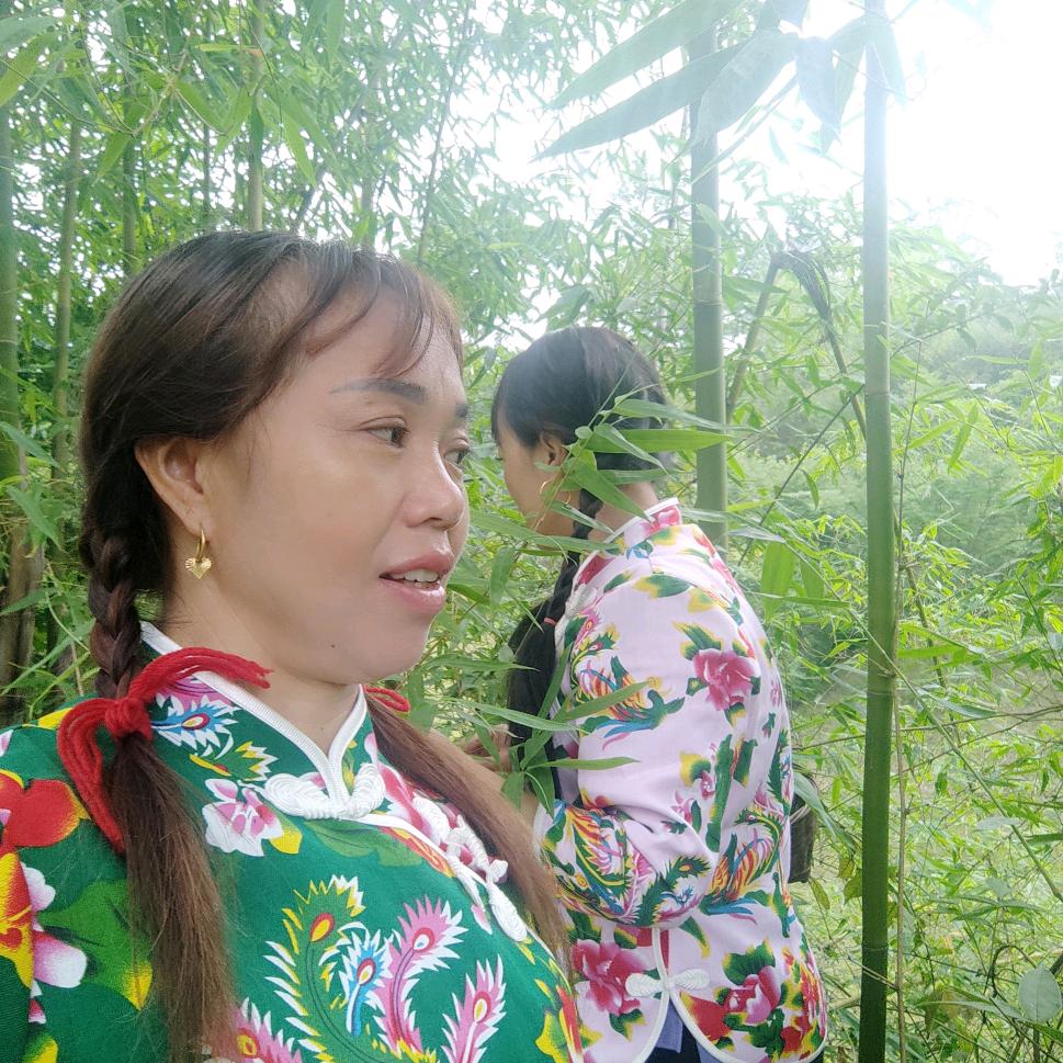 三妹（土家山歌）