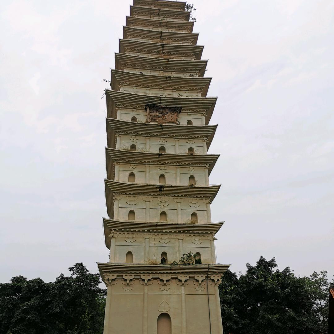 亚军