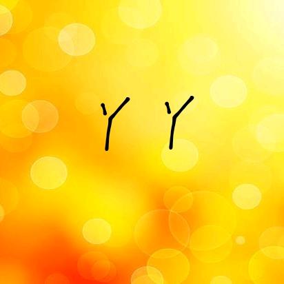 YY影视