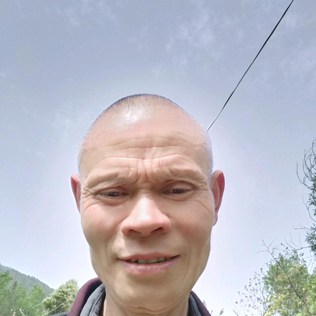 千年矮