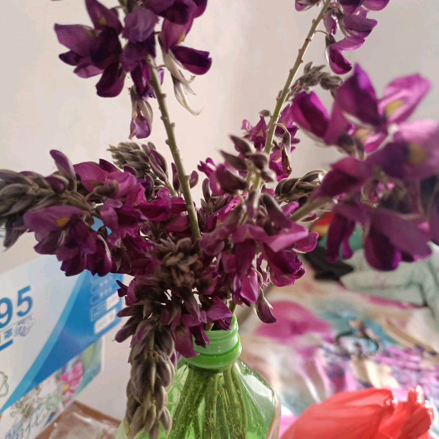 滴水之恩涌泉相报