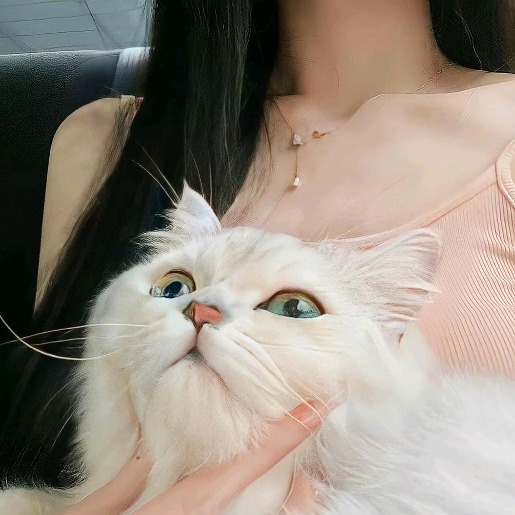 可爱爱