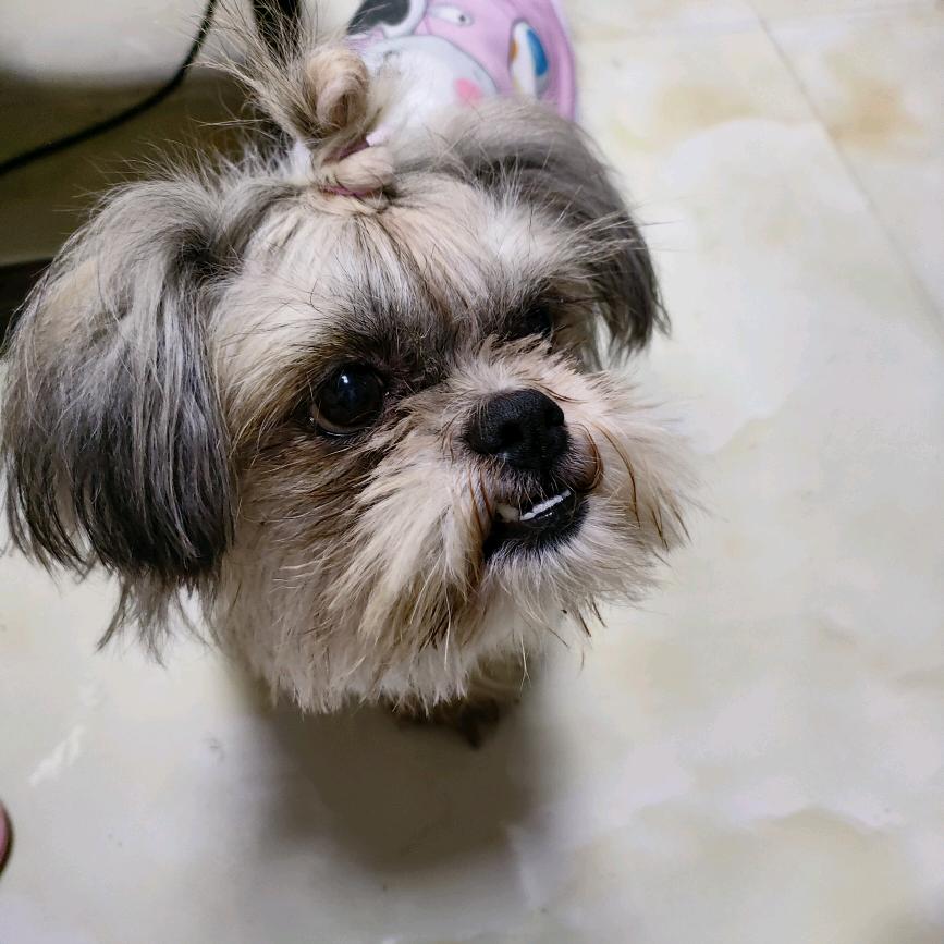 贝贝、多多滴桀桀呀