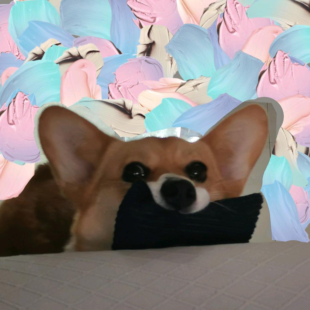大耳朵兔基