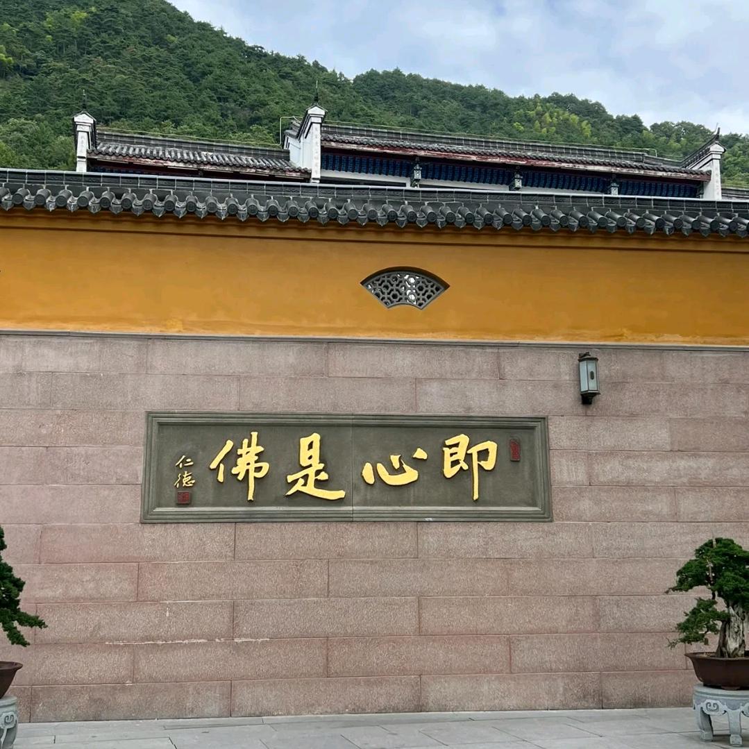 舒师傅(开示）