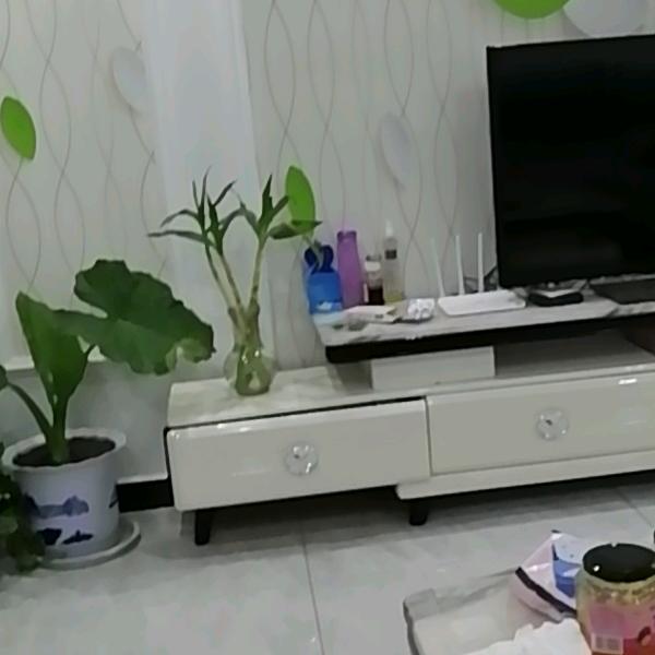 今生有缘
