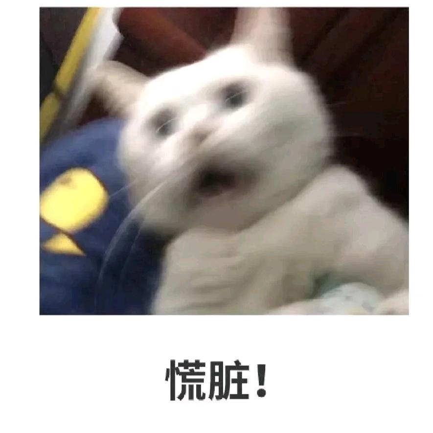 T为L挚爱