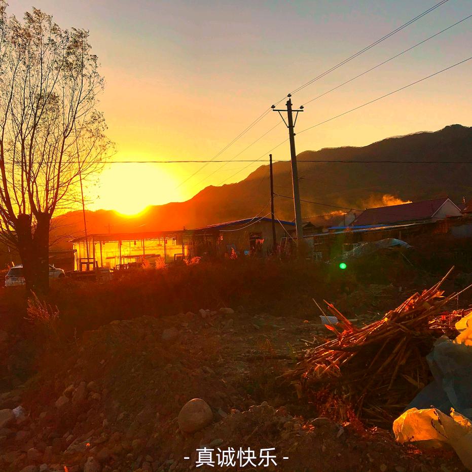 老孙活鱼