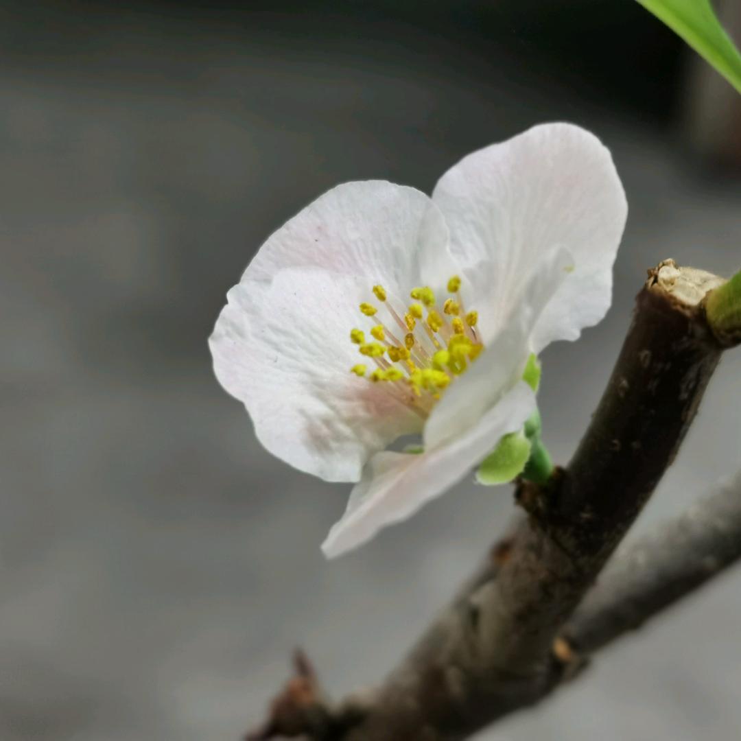 梦的边缘
