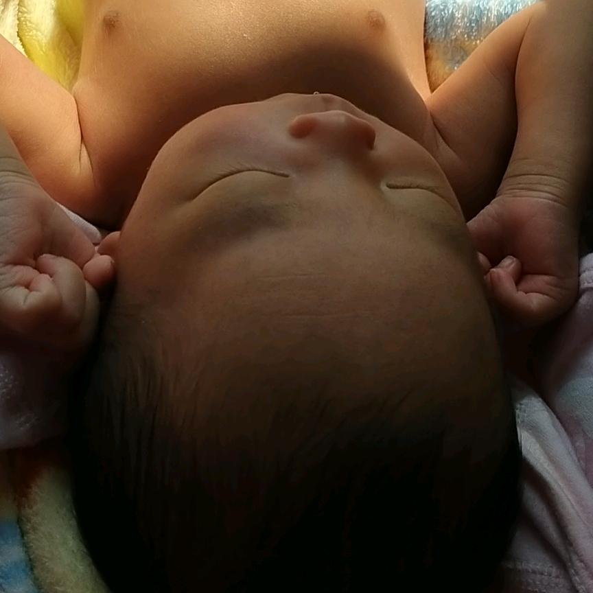 我家有一头小牛