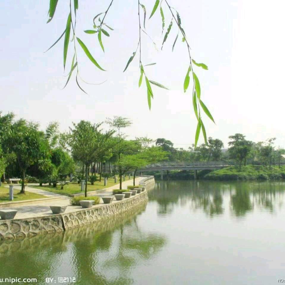 @天涯