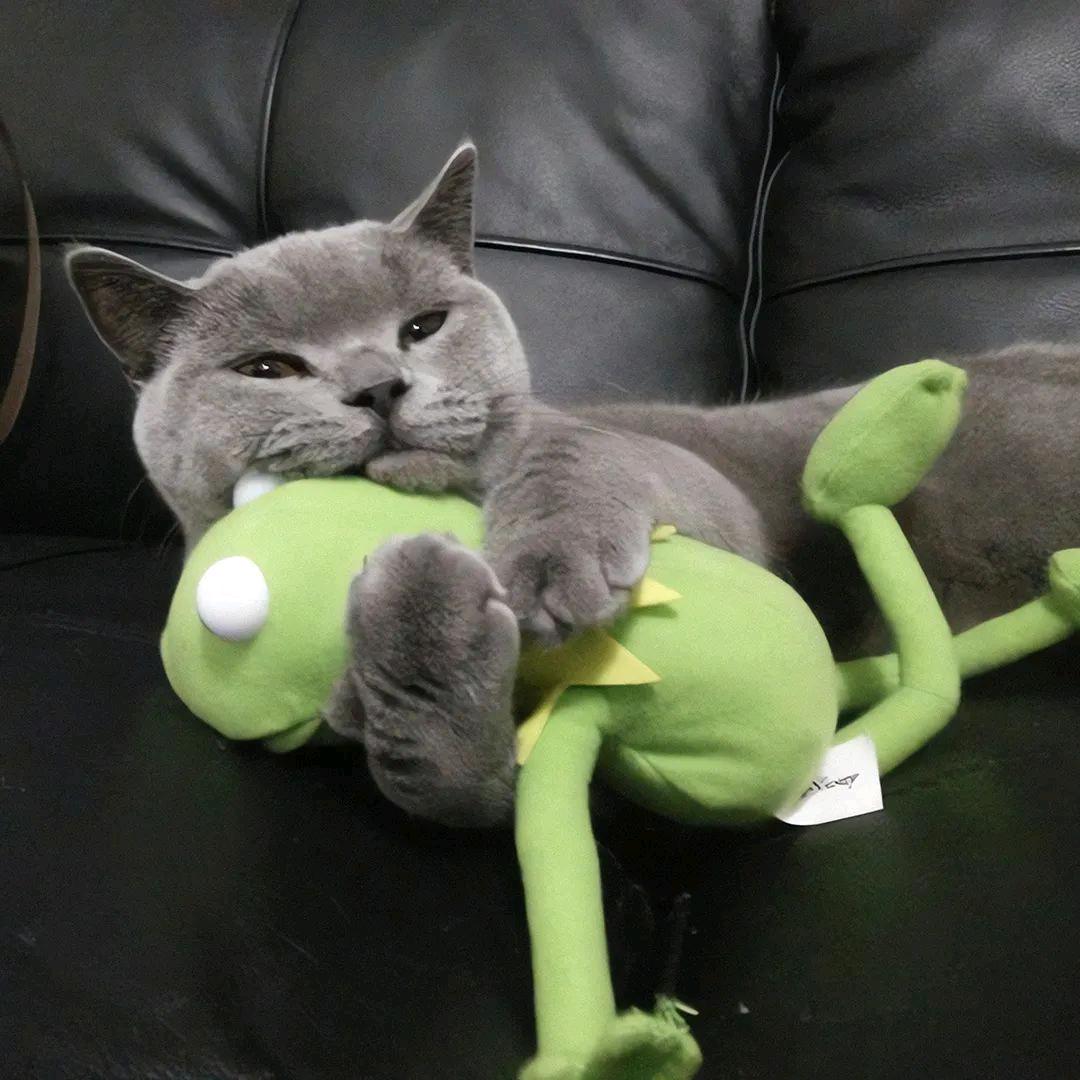 小薄