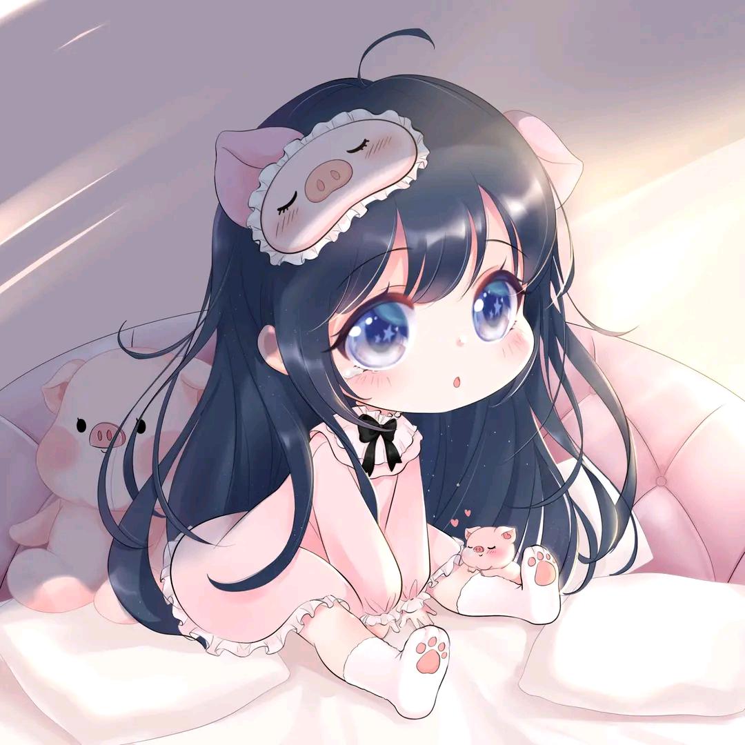 一条猪猪团OvO